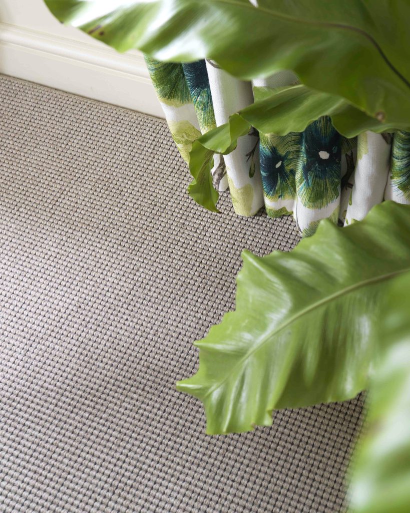 Carpet At The Carpet Company